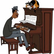 Pianist